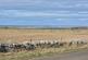 Additional image 30 of Fairfield, Ackergill, Wick