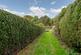 Additional image 13 of Holford, Bridgwater