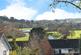 Additional image 2 of Moorland Way, Exeter, Devon, EX4