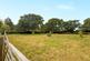Additional image 20 of Sway Road, Brockenhurst, Hampshire, SO42
