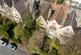 Additional image 11 of Clifton Park, Clifton, Bristol, BS8