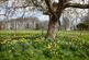 Additional image 12 of Chitterne, Warminster, Wiltshire