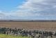 Additional image 29 of Fairfield, Ackergill, Wick