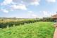 Additional image 15 of Danvers Way, Caterham, CR3