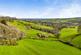 Additional image 18 of Whitestone, Exeter