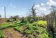 Additional image 18 of Splatt Lane, Spaxton, Bridgwater