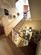 Additional image 21 of Clifton Park, Clifton, Bristol, BS8