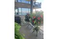 Additional image 9 of 166-25 Powells Cove Blvd Unit 9E, Beechhurst, NY, 11357