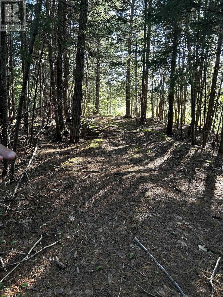 3 Forsythe Road South Road, White Rock, NS, B4P2R2