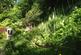 Additional image 18 of Wookey Hole, Wells, BA5