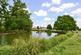 Additional image 7 of Hanley Swan