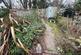 Additional image 12 of Hamstreet
