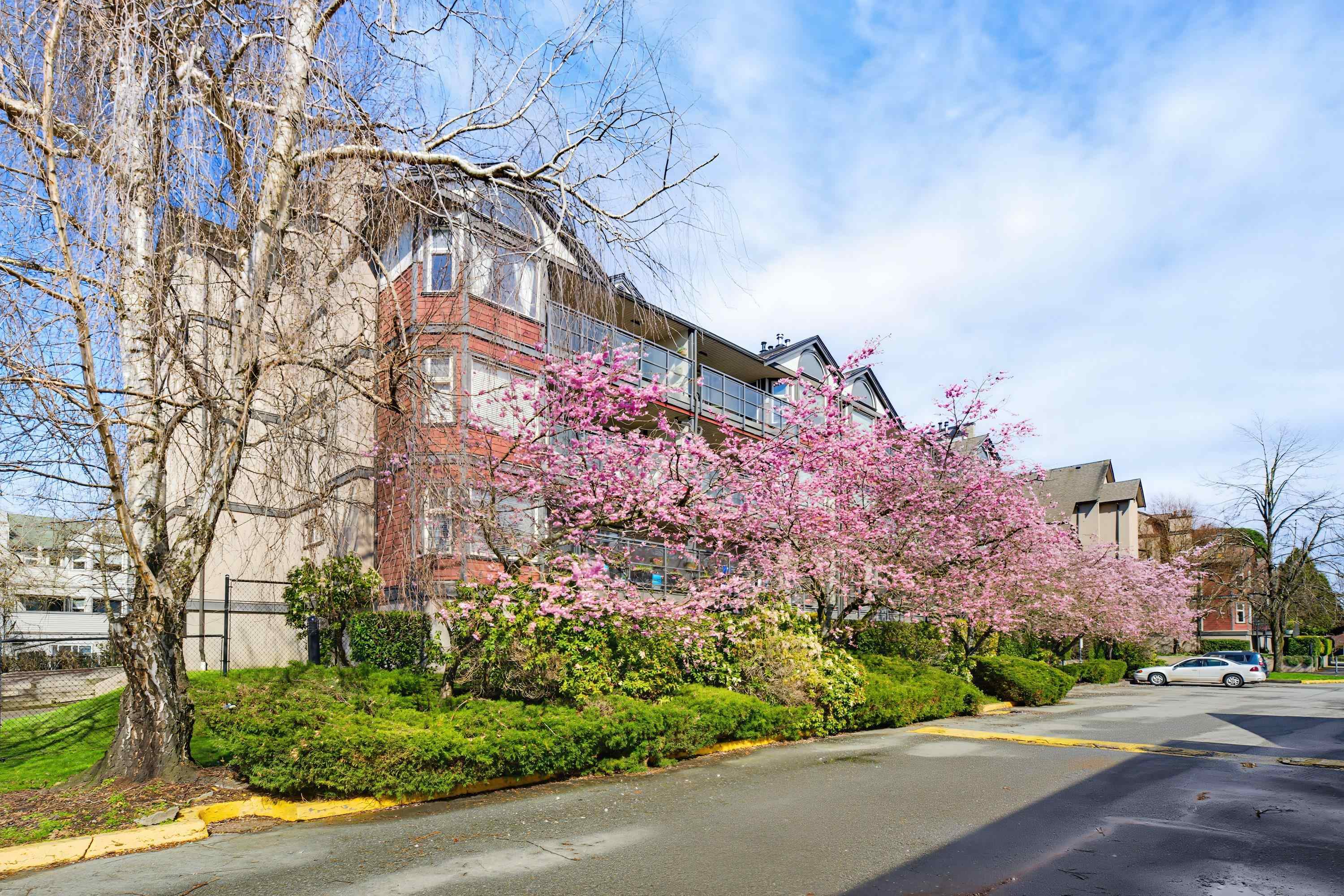 D205-4845 53 Street, Delta, BC, V4K 2Z3