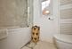 Additional image 17 of Doddrells Close, Wells, Somerset, BA5