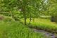 Additional image 18 of Homestead Park, Wookey Hole, Wells