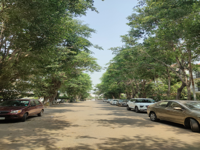 Sector 115, Mohali