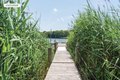 Additional image 23 of 4 Reed Pond Ct, Water Mill, NY, 11976