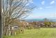 Additional image 12 of Langton Matravers, Swanage