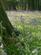 Additional image 26 of Par PL24