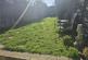 Additional image 17 of Park Road, Caterham, Surrey, CR3