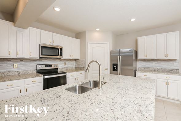 6785 CORAL BERRY DRIVE, MOUNT DORA, FL, 32757