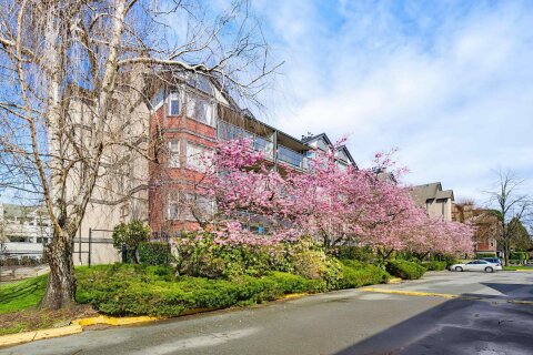 Additional image 7 of D205-4845 53 Street, Delta, BC, V4K 2Z3