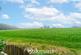 Additional image 43 of Frankley Green, Birmingham, Worcestershire, B32