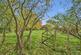 Additional image 39 of Bedlington NE22