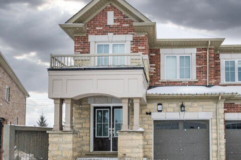 Additional image 7 of 16 Edsel Road, Brampton, ON, L7A 4K6