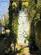 Additional image 17 of Clifton Park, Clifton, Bristol, BS8