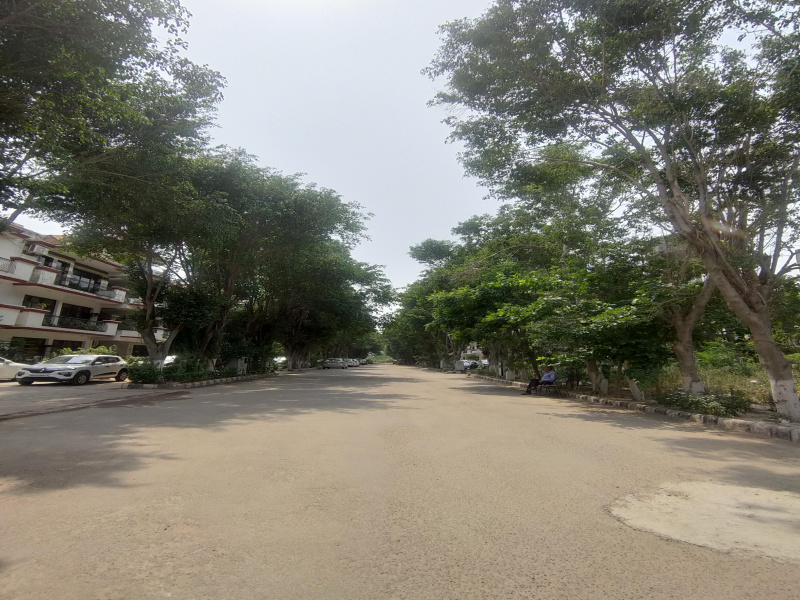 Additional image 3 of Sector 115, Mohali