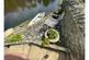 Additional image 35 of The Butts, Warkworth, NE65