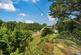 Additional image 25 of Nancemellin, Nr Camborne