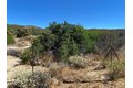 Additional image 6 of 63151 Table Mtn, Anza, CA, 92539