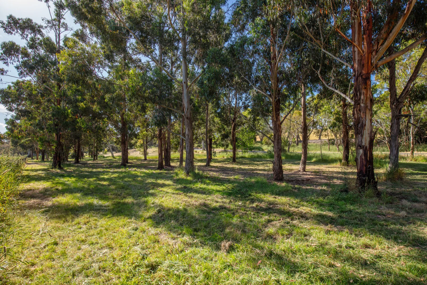 Additional image 38 of 124 Nitschke Road, Littlehampton SA 5250