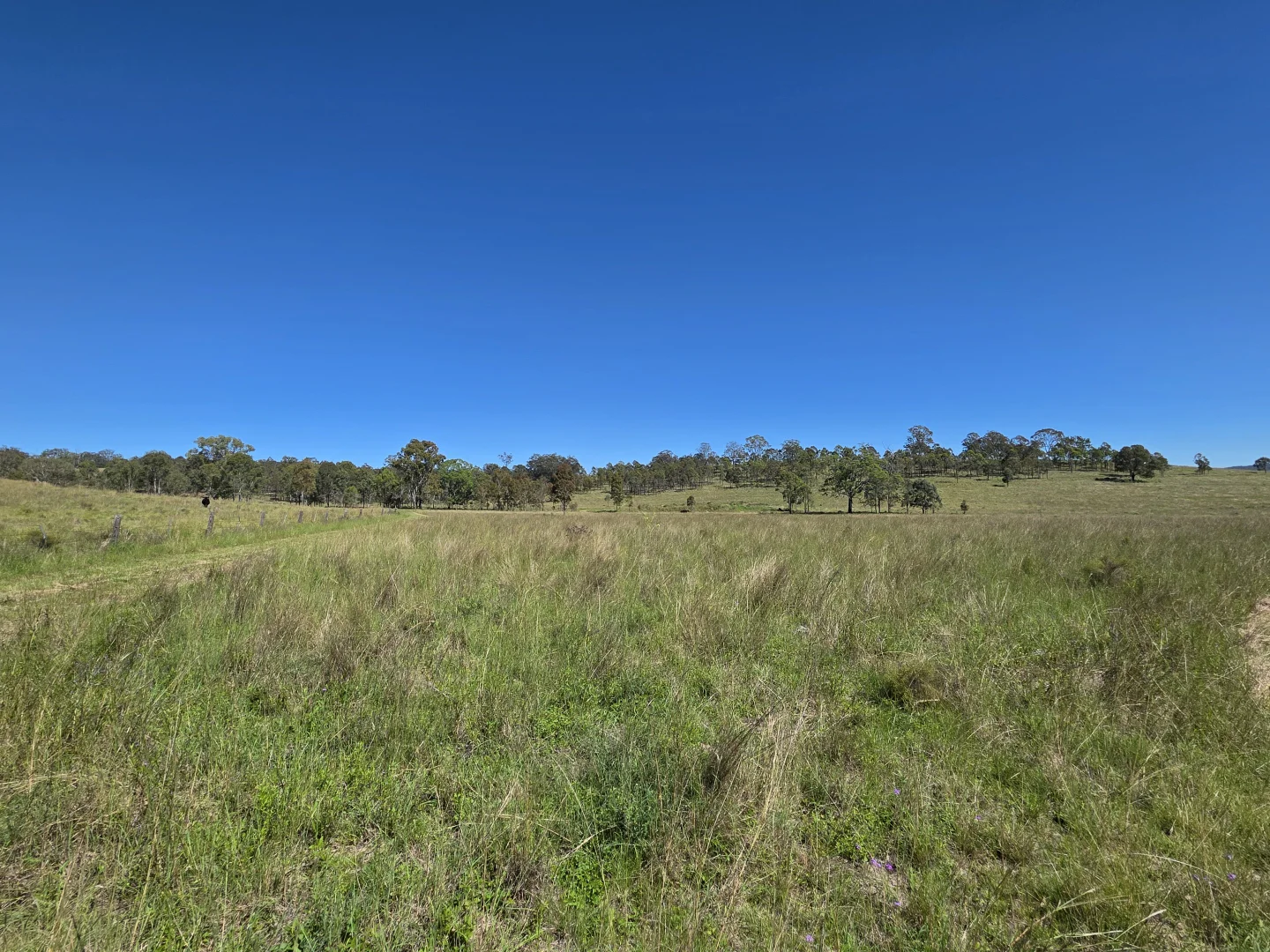 Additional image 12 of 160 Rocky Gully Road, Crows Nest QLD 4355
