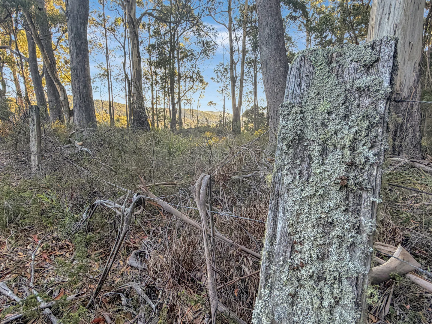 Additional image 6 of 577 Elephant Pass Road, Gray TAS 7215