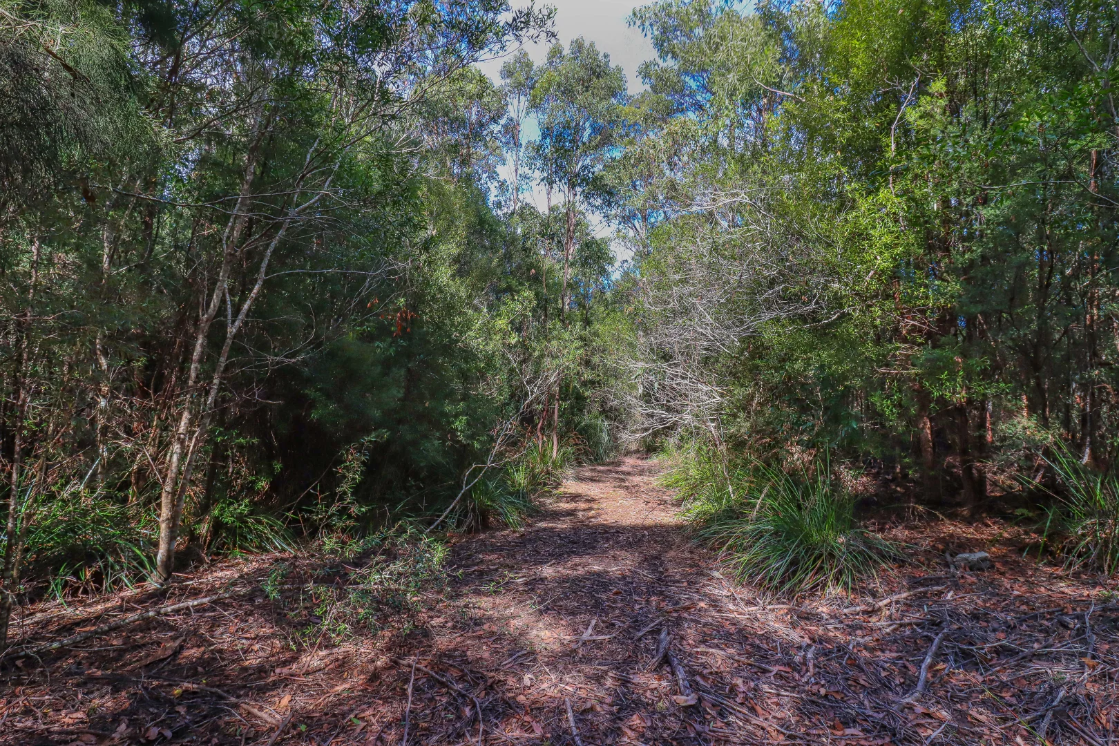 Additional image 24 of 1 Link Road, Lonnavale TAS 7109
