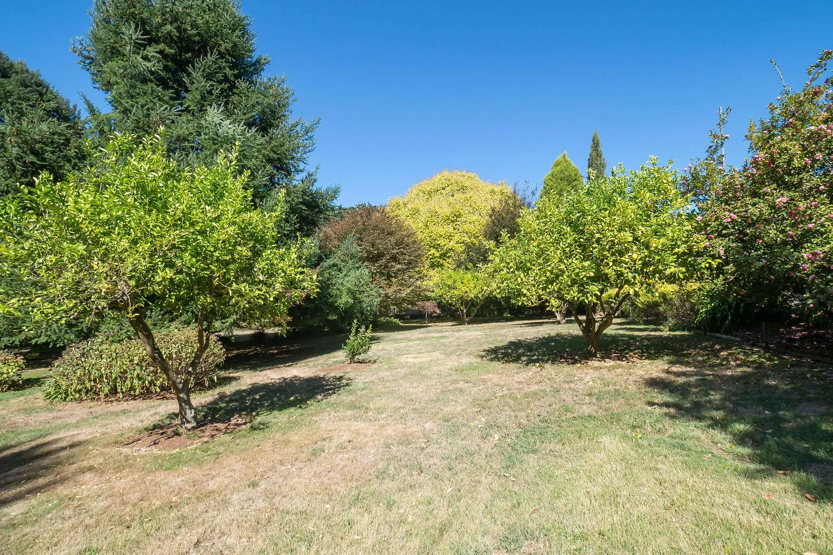 Additional image 21 of 6 Hill Street, Ferny Creek VIC 3786