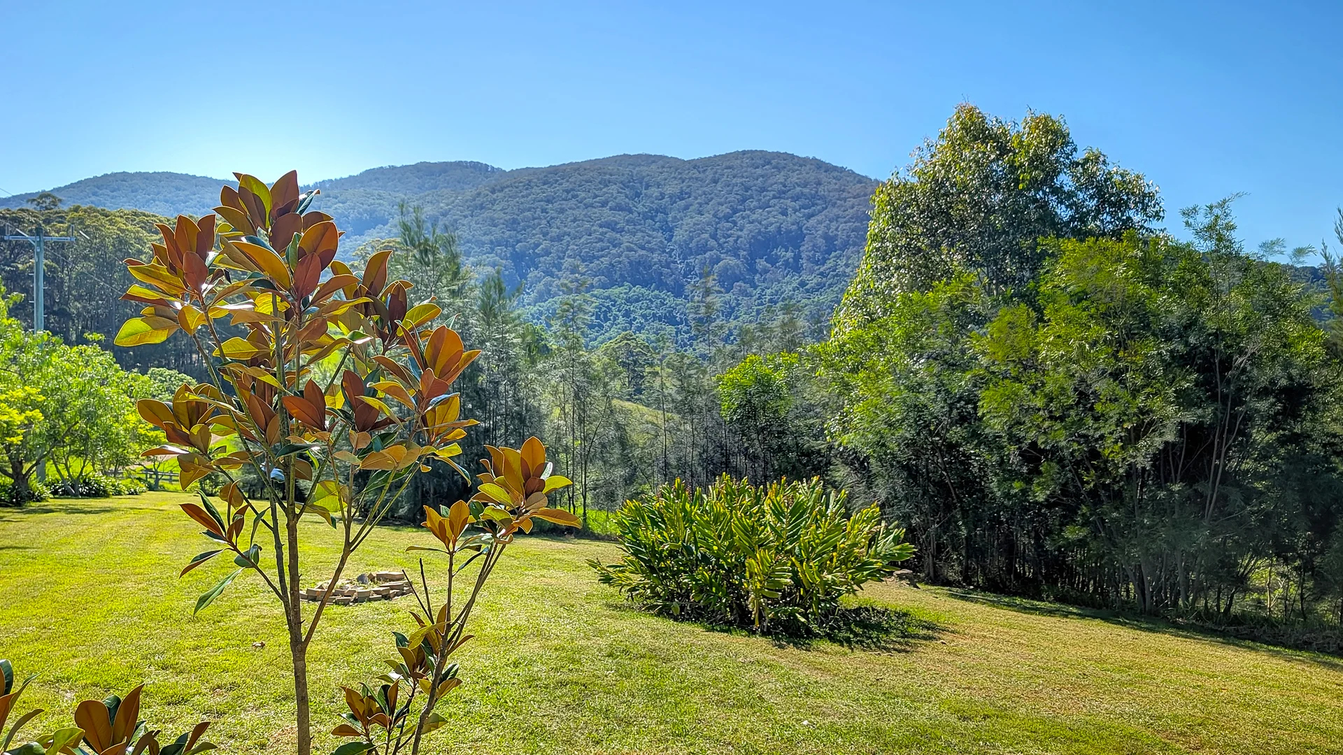 9050 Springhills Road, Tilba Tilba NSW 2546 photo 3