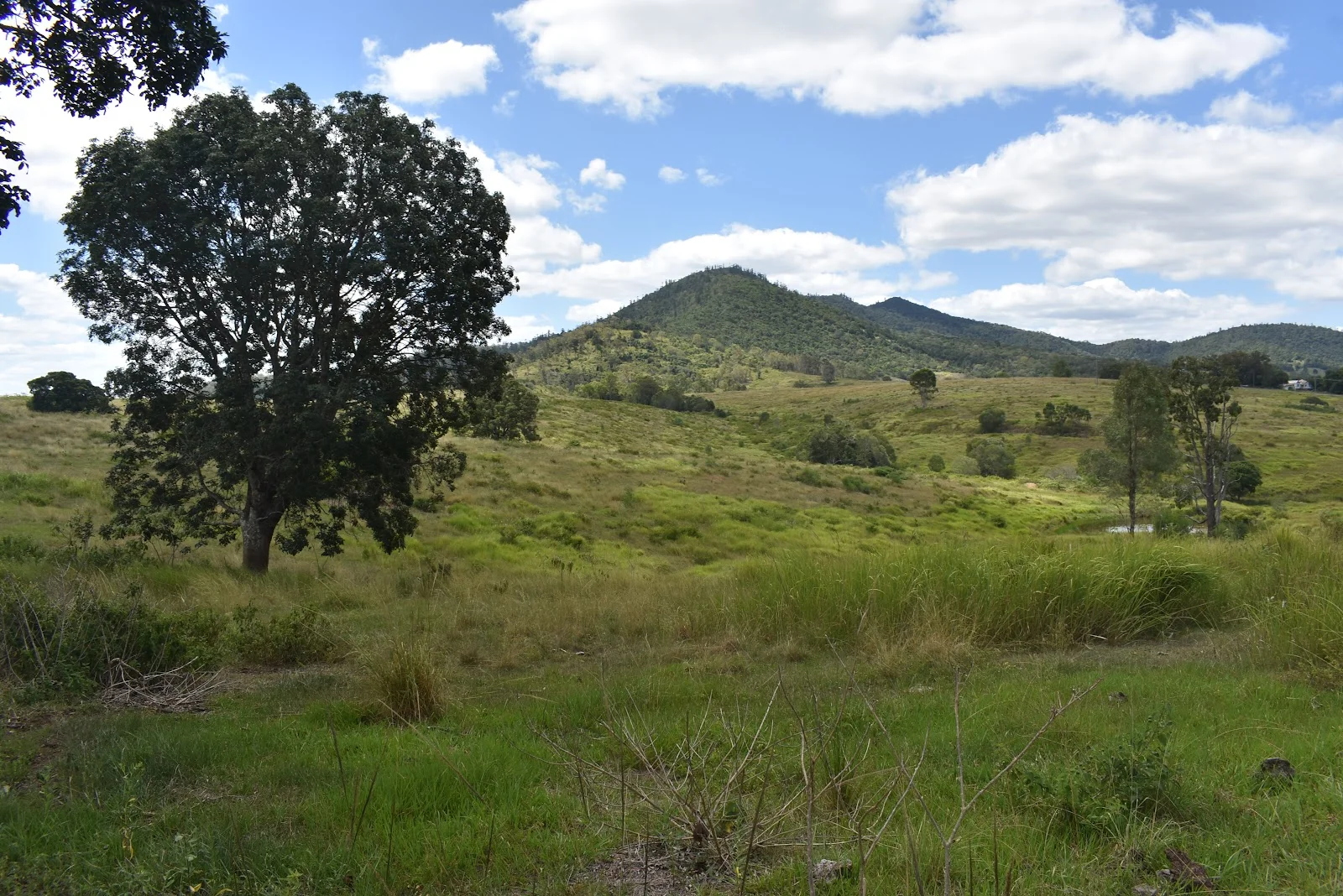 Additional image 3 of 35 Bakers Road, Bauple QLD 4650
