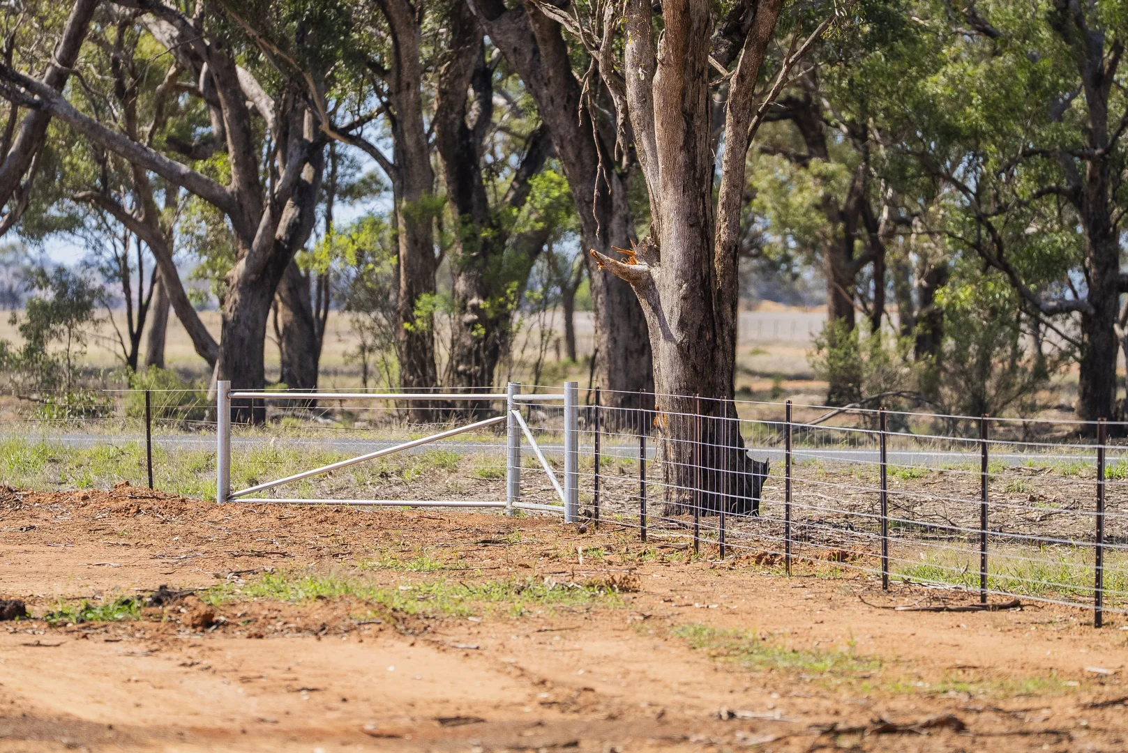 Additional image 3 of Combaning Road, Temora NSW 2666