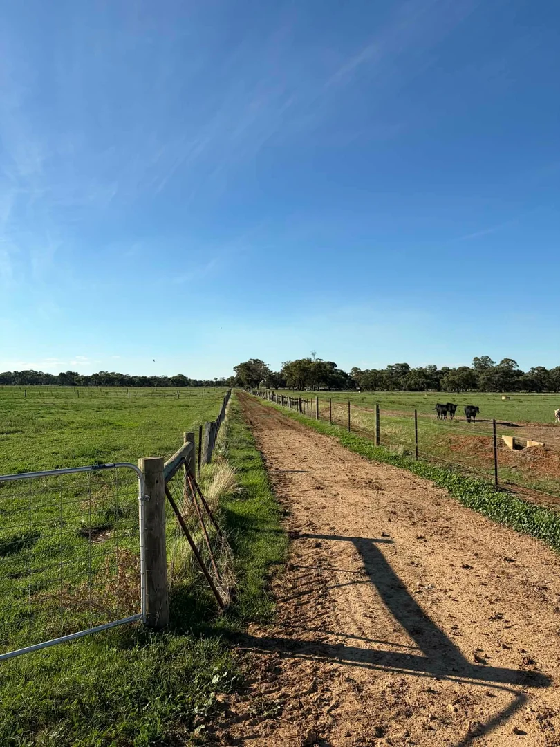 Additional image 31 of 78 Nicholson Lane, Kotta VIC 3565