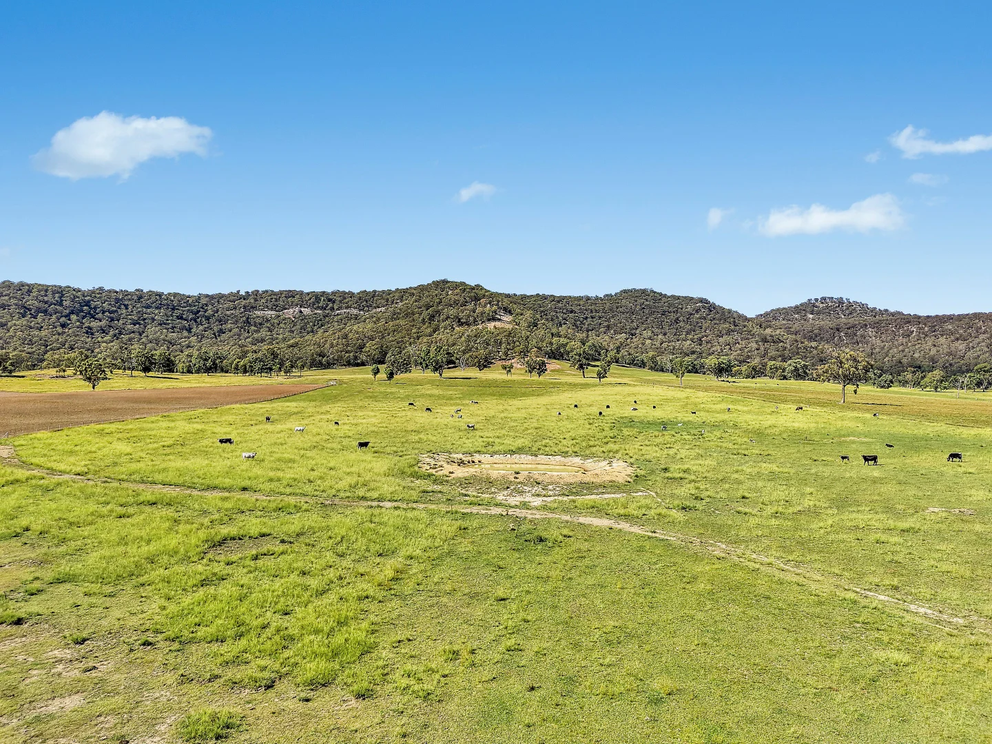 Additional image 8 of 214 Bowles Lane, Rylstone NSW 2849