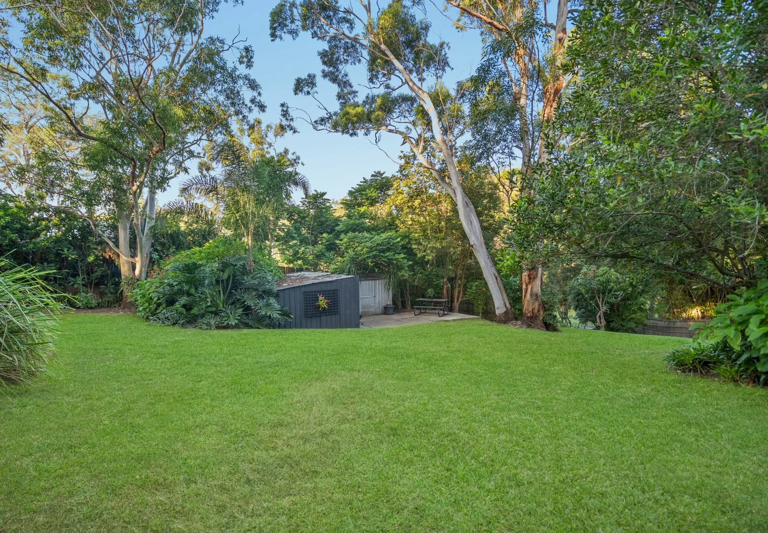 Additional image 22 of 3 Woodland Drive, Reedy Creek QLD 4227