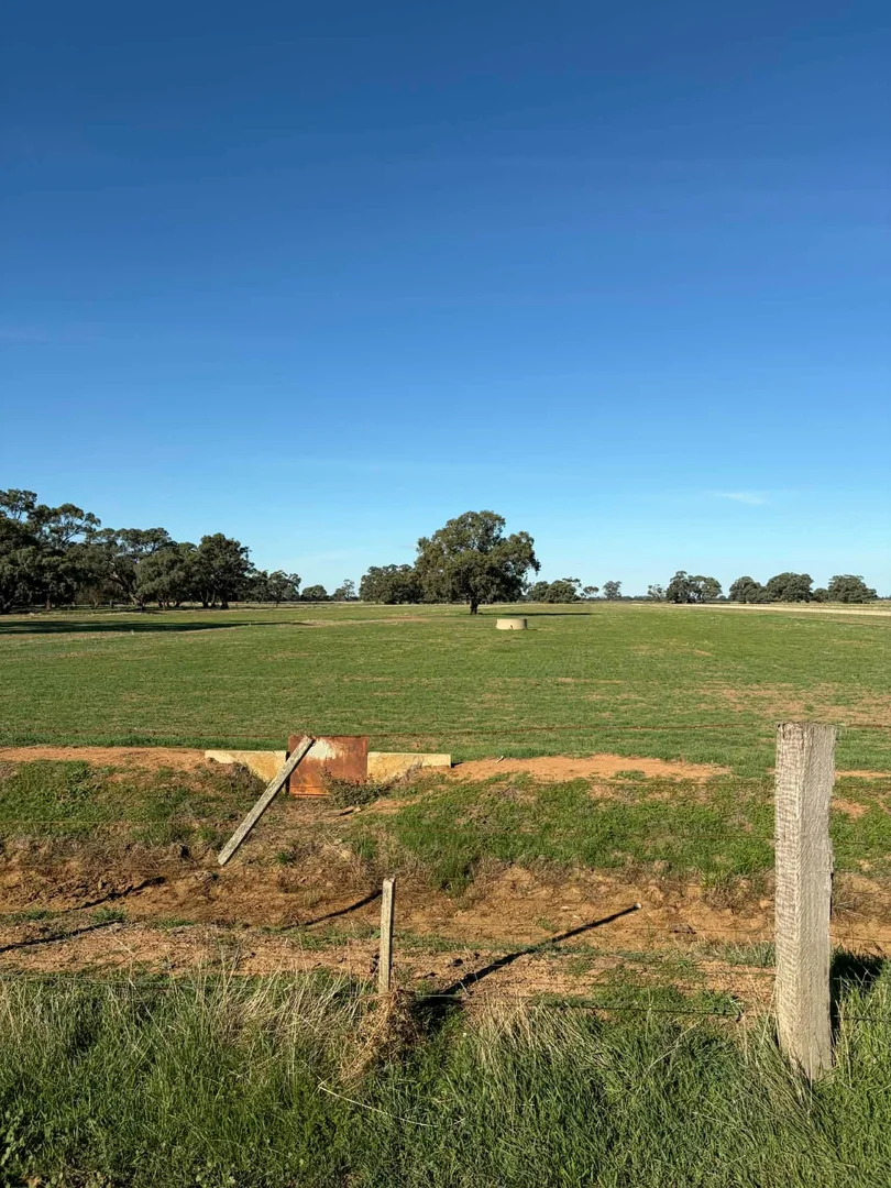 Additional image 29 of 78 Nicholson Lane, Kotta VIC 3565