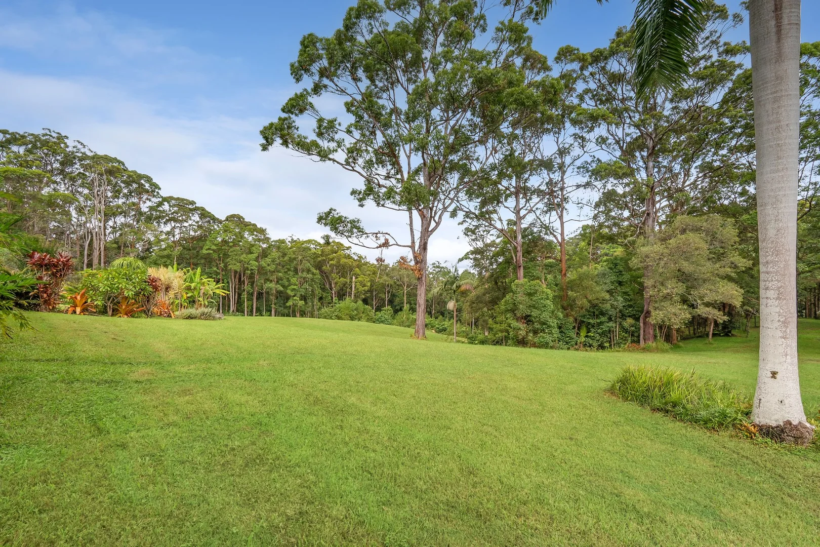 Additional image 19 of 398 Tablelands Road, Cooran QLD 4569