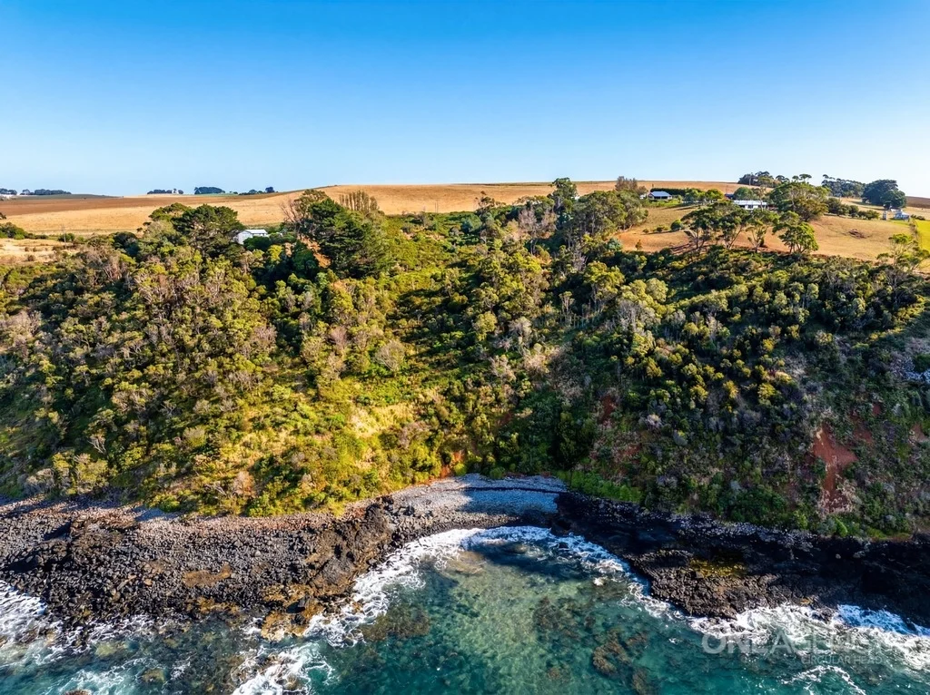 Additional image 8 of 472 Tollymore Road, Table Cape TAS 7325