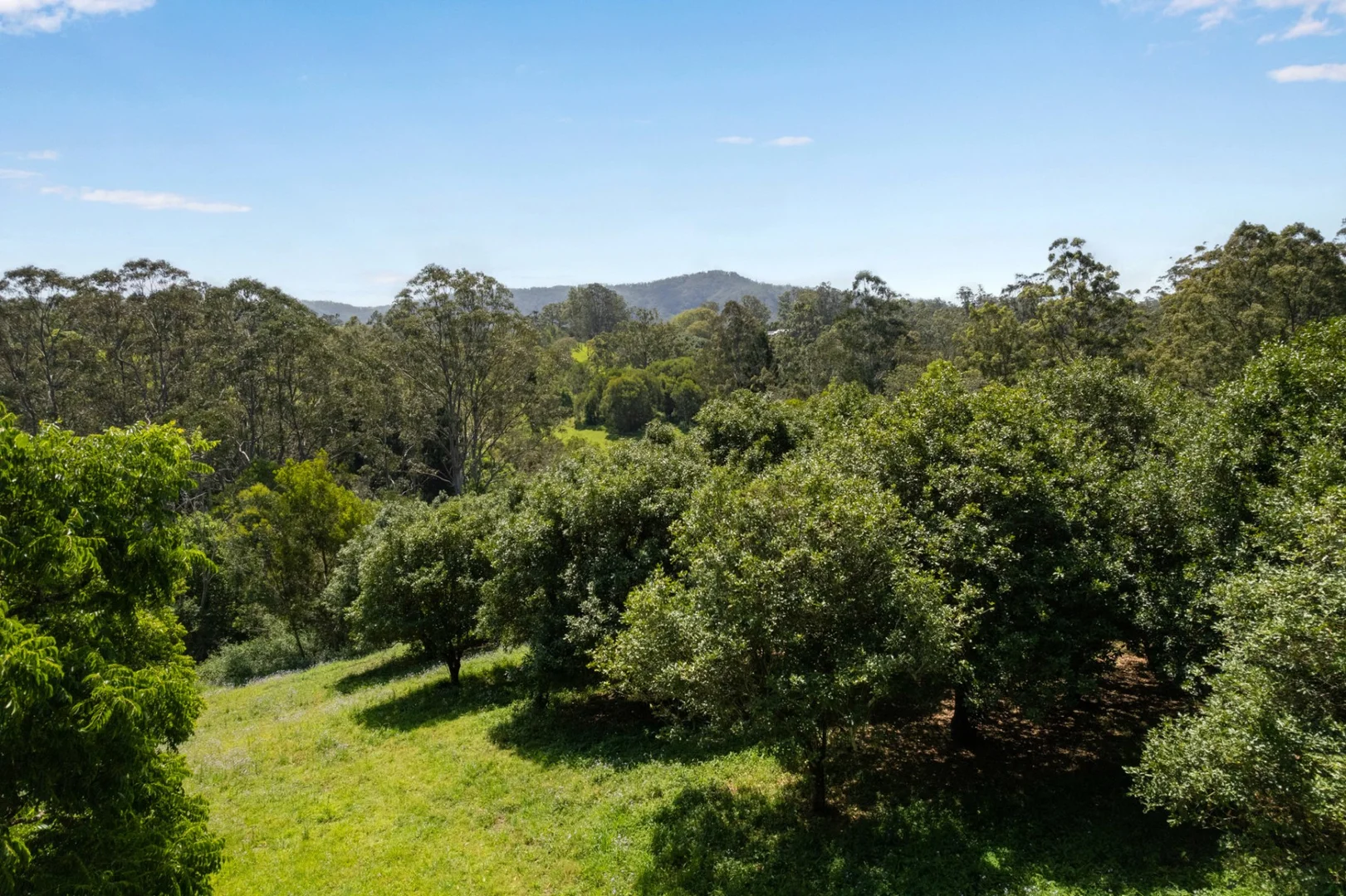 Additional image 8 of Lot 11 Highfield Road, Valla NSW 2448