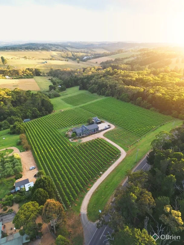 120 Arthurs Seat Road, Red Hill VIC 3937